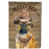 Brussels Griffon