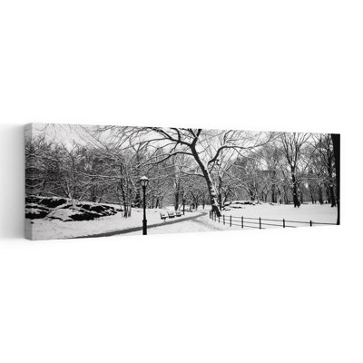 Arbres dénudés pendant l'hiver dans un parc, Central Park, Manhattan, New York, État de New York, États-Unis, art contemporain contemporain, art mural