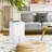 Energy Star 50-Pint Portable Dehumidifier with Pump
