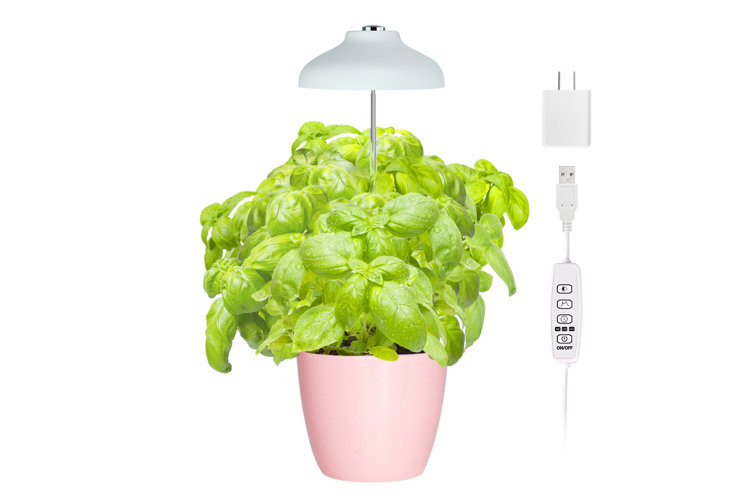 The 8 Best Grow Lights