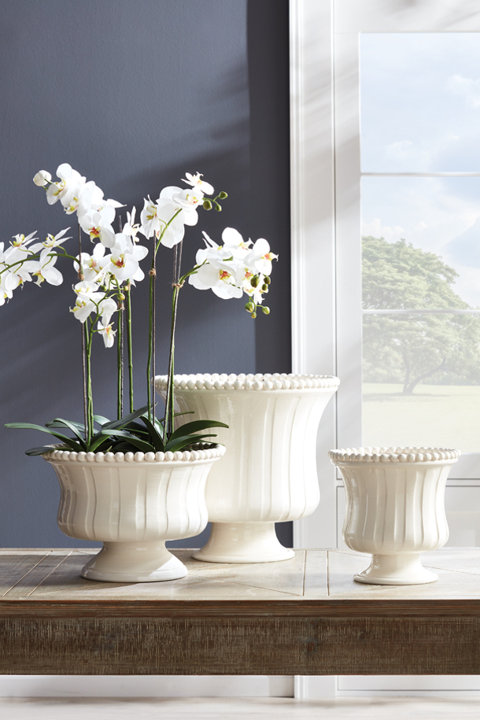 Decorative Vases & Jars