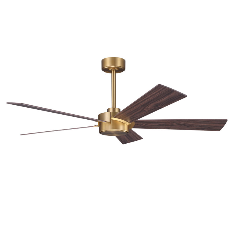 Ventilateur de plafond 54 po 5 pièces, Doré, Noyer