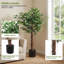 6ft Artificial Ficus Trees Set of 2 with 1008 Flat Leaves, Dual Trunks, Realistic Faux Greenery in Black Pots for Home, Office, or Living Room Decor – 78"H, 1 Box for 2 Banyan Trees-1251114184-1251114180