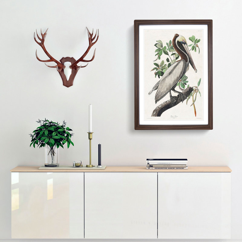 Brown Pelican by John Audubon - Picture Frame Graphic Art Print, Walnut Framed, 48cm H x 36cm W x 2cm D