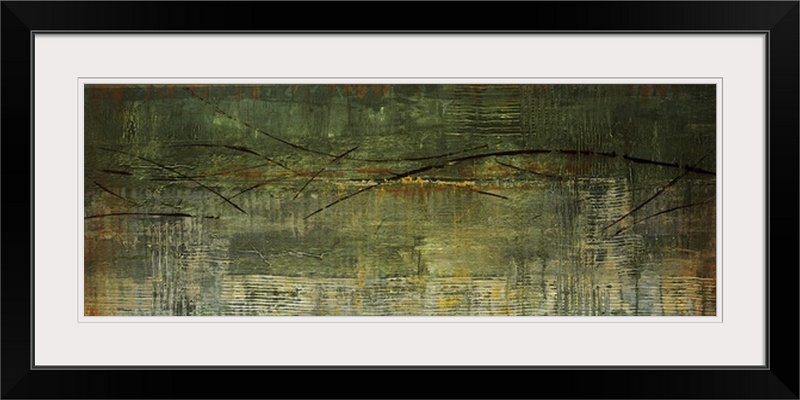 «Bellarose A Green Streak» par Liz Jardine, reproduction d'art, Cadre noir, H 24 po x l 56 po x P 1 po