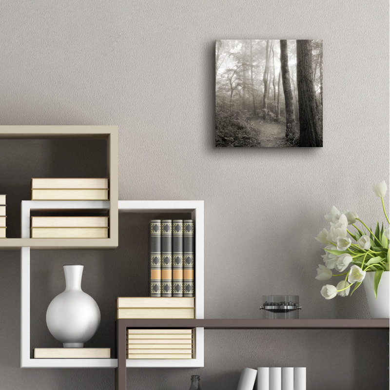 «Woodland Path» par Nicholas Bell, photographie, H 12 po x l 12 po x P 0,13 po