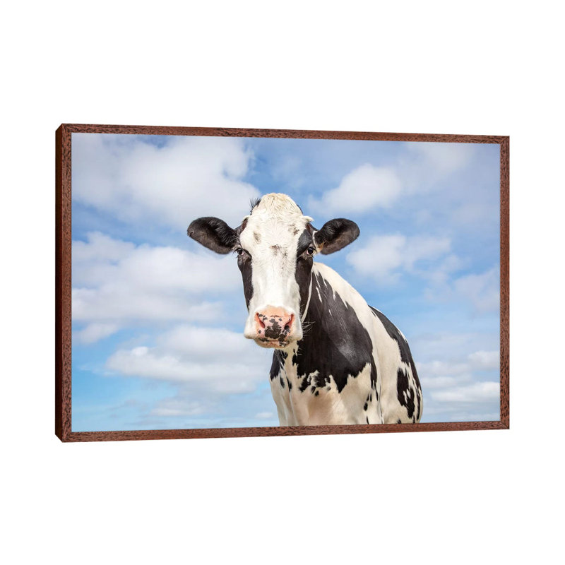 Sweet Cow by Clara Bastian - Print on Canvas, Classic Brown Wood Framed, 66.04cm H x 101.6cm W x 3.81cm D