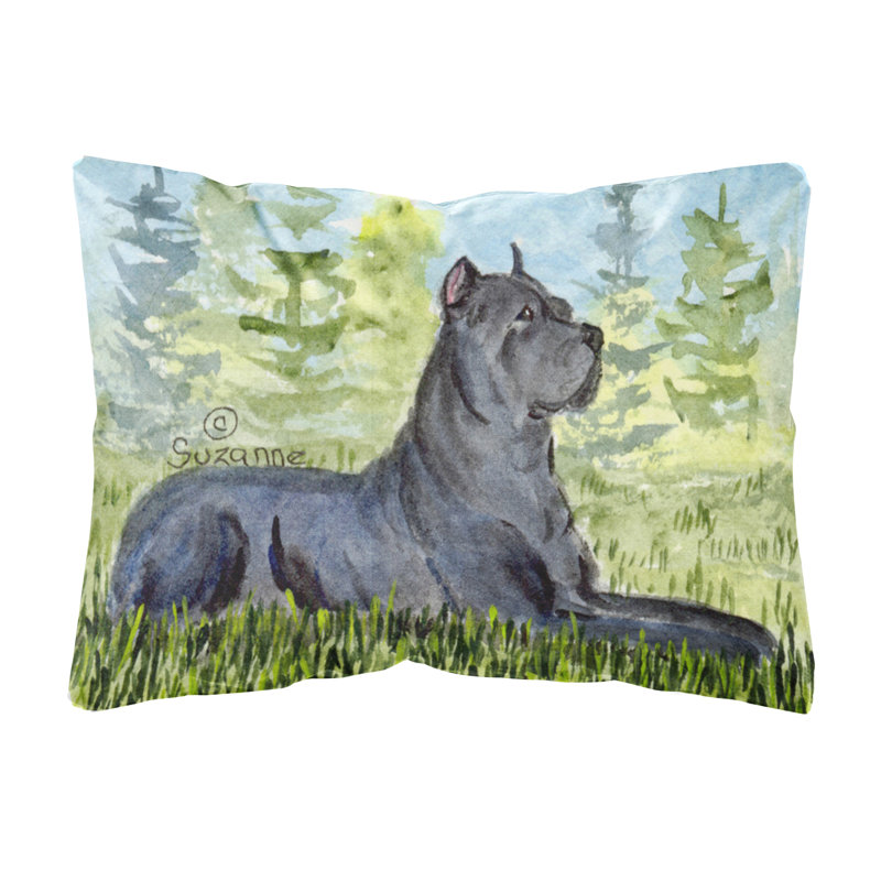 Coussin décoratif intérieur/extérieur corso canne