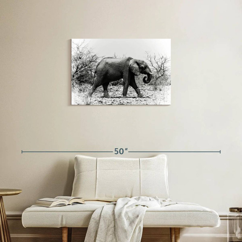 Éléphant d'Afrique Brampt au Botswana, H 20 po x l 30 po