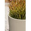 Pot à fleurs Pure Series-86701197-69930339-57370073