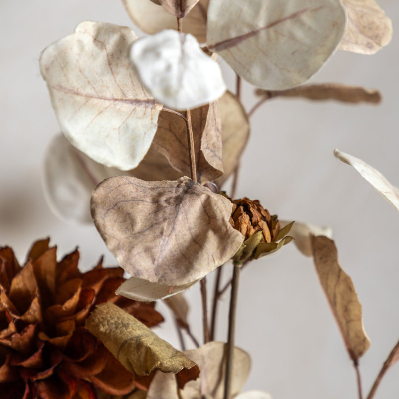 71cm Plant