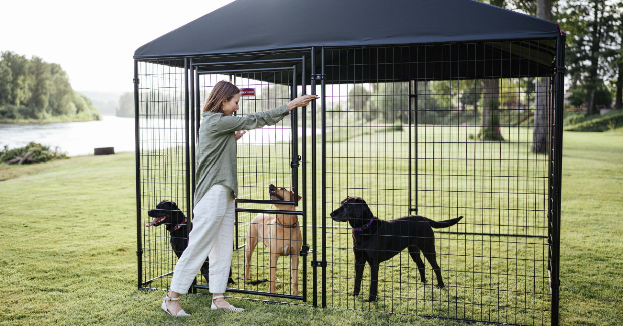 Lucky Dog® Stay Series® Kennel