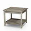 Table d'appoint à 2 tablettes Longs Peak Eucalyptus