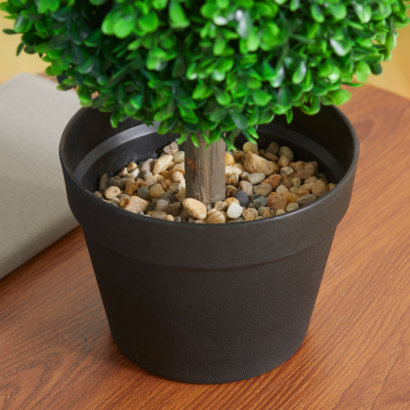 Zeigler 23.6'' H Artificial Boxwood Topiary Tree