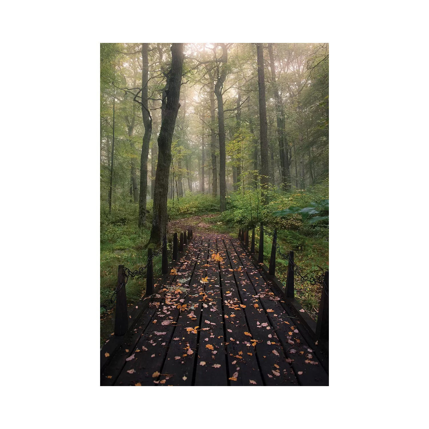 Union Rustic Misty Morning by Christian Lindsten - Wrapped Canvas Art ...