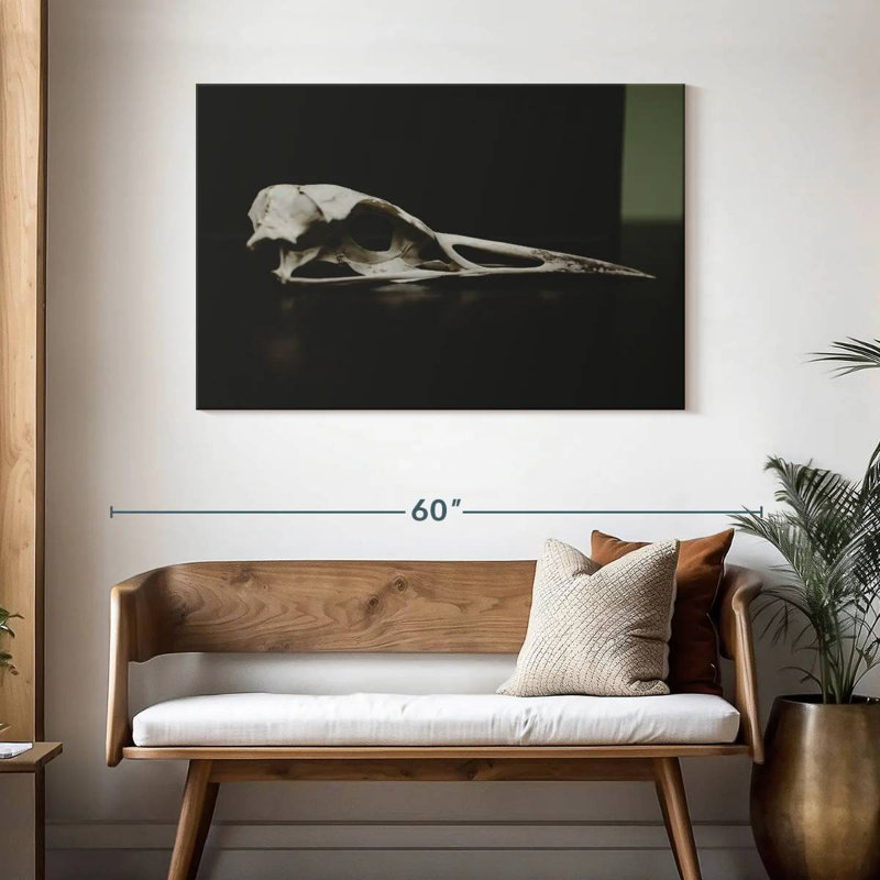 Kerner Bird Skull