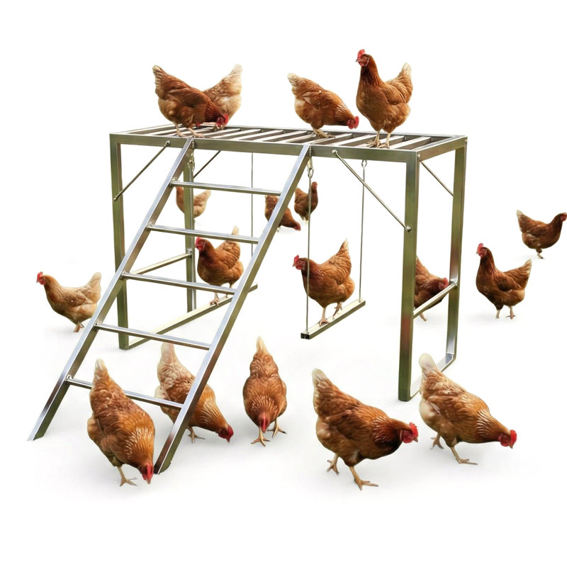 Poulailler en métal avec balançoire et barres à plusieurs niveaux - Ensemble d'échelles durable - Aire de jeu pour 8 à 10 poules - Accessoire de poulailler parfait pour les fermes de basse-cour - Gris argenté