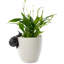 Porte-pot Snail Pot Buddy