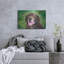«Chocolate Labrador Retriever Dog» par Rebecca Wang Art-126747967