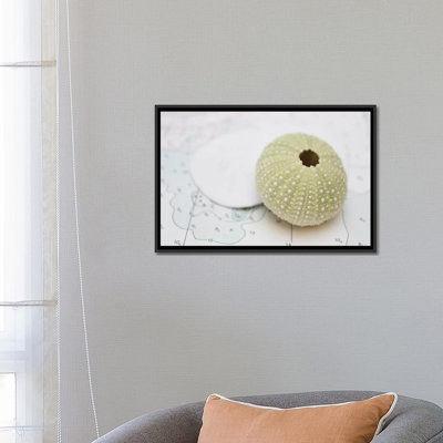 « nautique urchin' », reproduction de photo sur toile