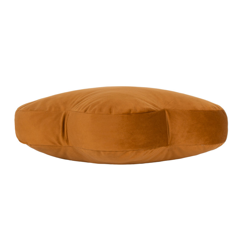 Orange Novelty Cushion, Ginger