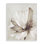 Art de pétales de fleurs blanches par Cloverfield & Co. bg-123