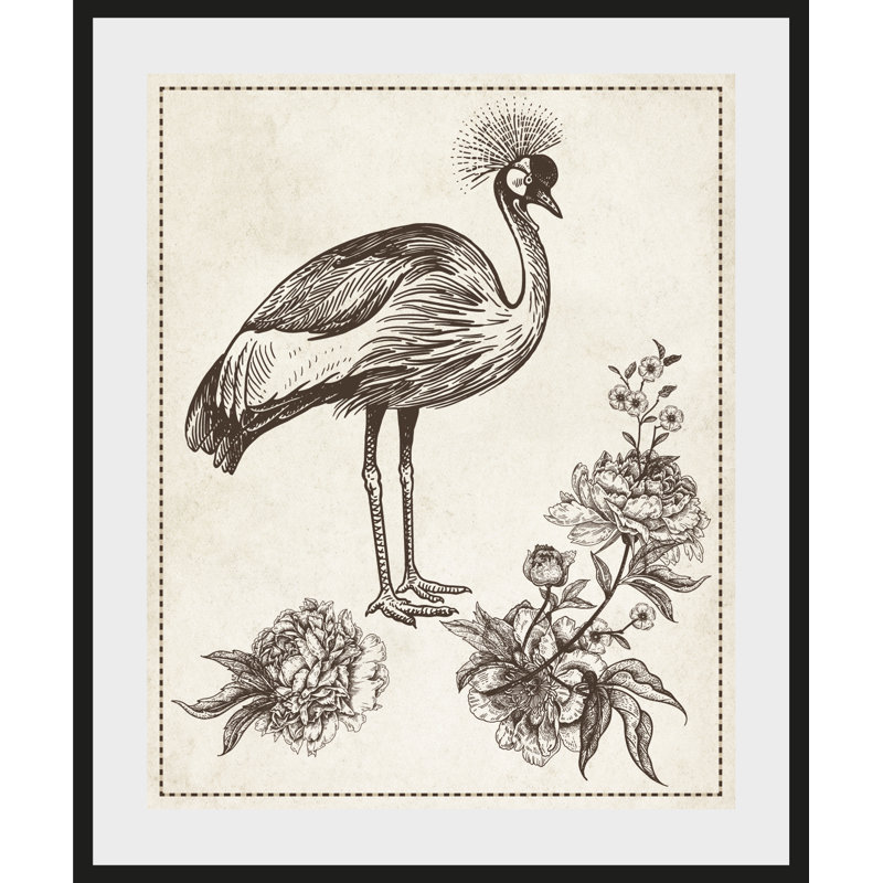 Bird - Single Picture Frame Print, 50 cm H x 60 cm W