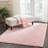 Secily Indoor Rug-206015146