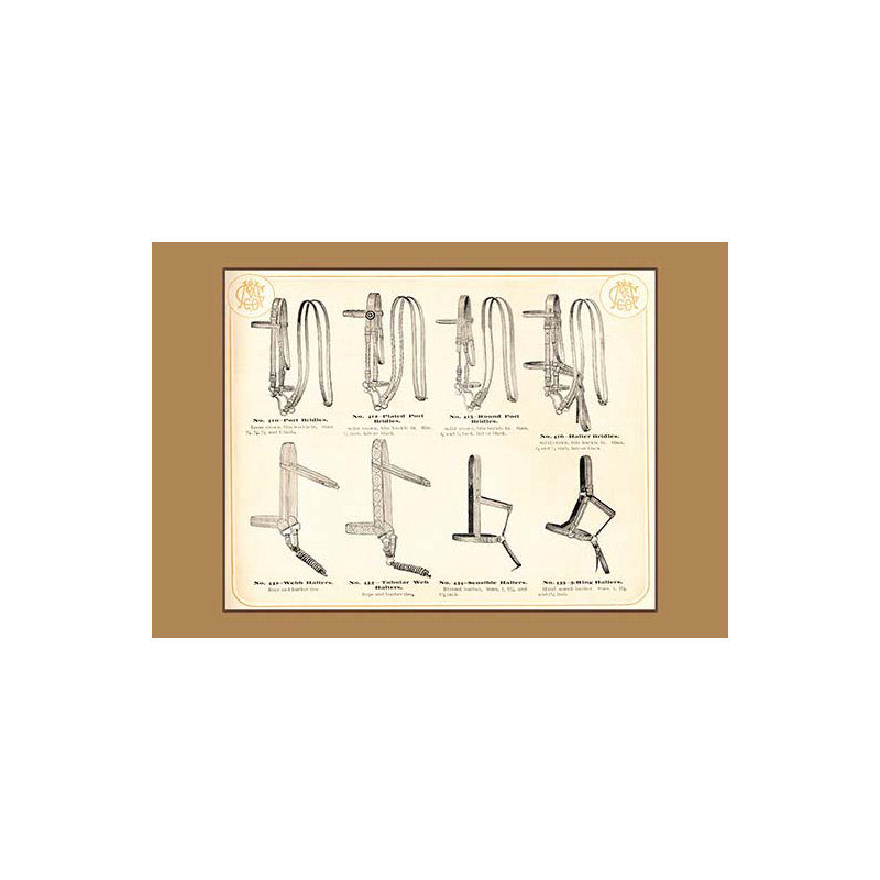 «Bridles and Halters», impression