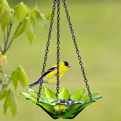 Mangeoire à oiseaux en verre recyclé Daisy - vert lime