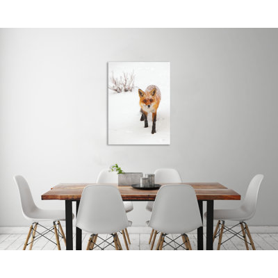"Red Fox III", toile tendue par Aledanda