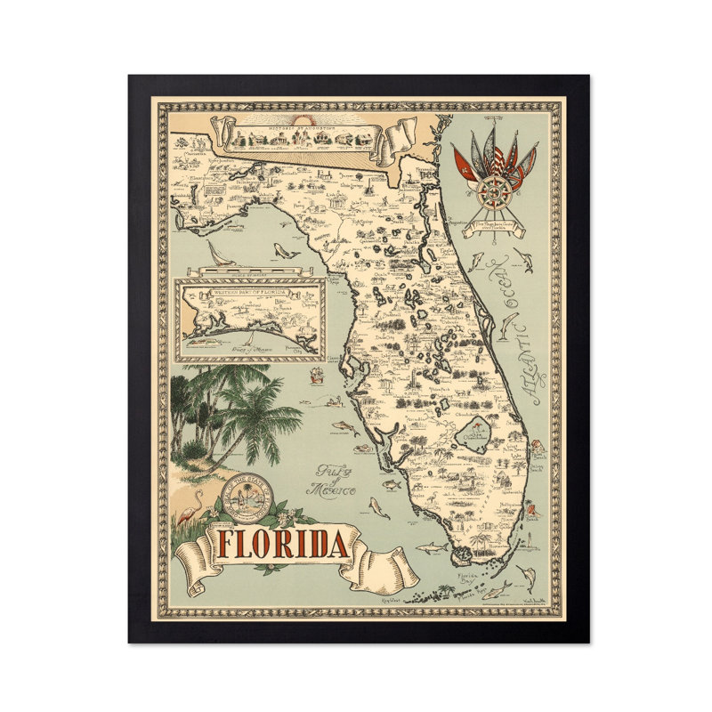 Carte des poissons de la Floride, H 24 po x l 32 po, Affiche, Sans cadre