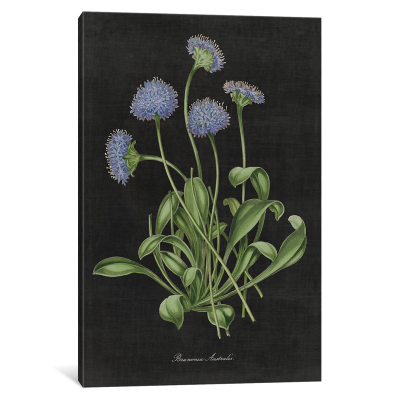 « botanique chart vii », impression sur toile tendue, H 60 po x l 40po x P 1,5 po, Pas de tapis, Toile tendue