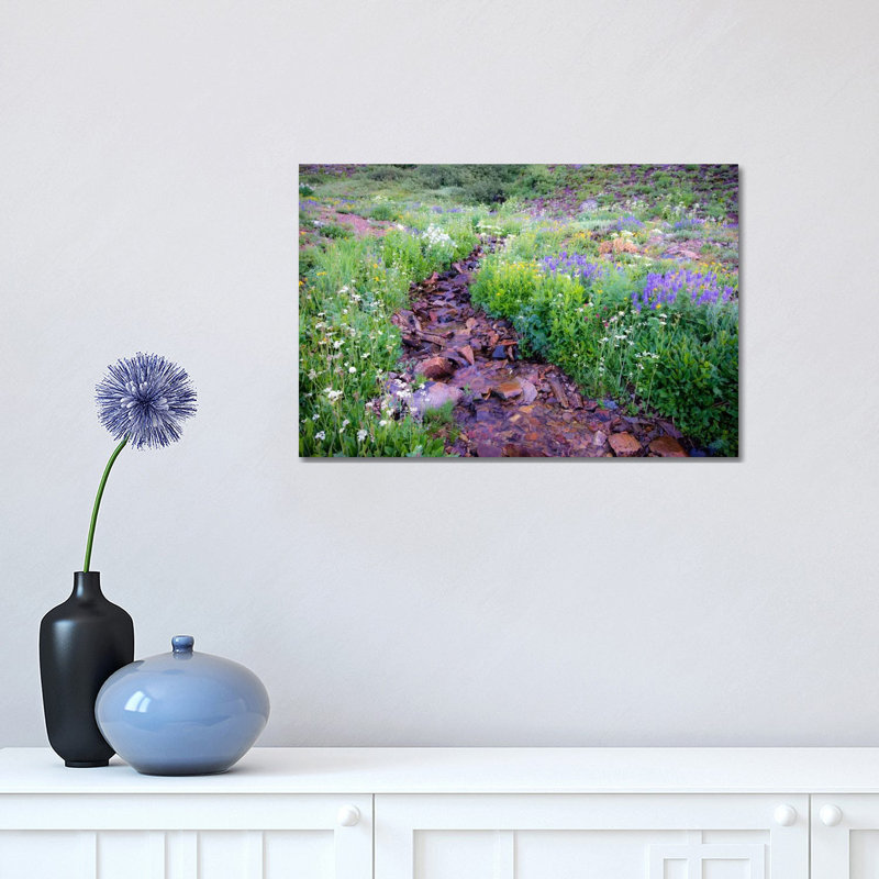 Field of Beauty L 1 Piece Wrapped Canvas Wall Art, 30.48 cm H x 45.72 cm W