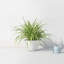 Neo Handmade Pot Planter-1465145401-1465145406