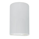 Ambiance Collection™ Outdoor Flush Mount