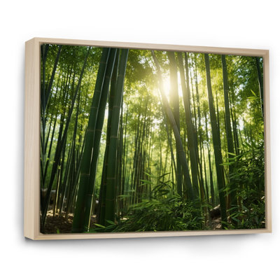 " Dynamic Light Bamboo Grove II "