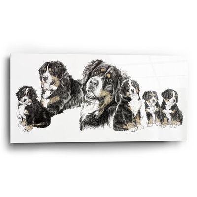 " Bernese Mountain Dog " by Barbara Keith