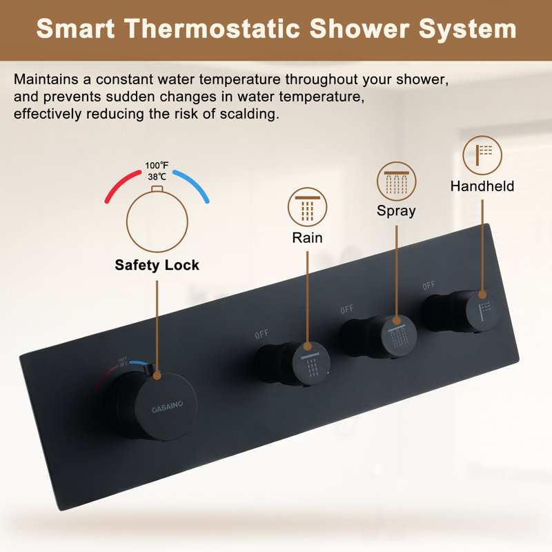 Matte Black Stainless Steel Rain and Pulse Shower System