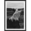 'Horse Back' Framed Photographic Print
