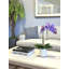 Silk Orchid Faux Floral in Pot-1204512987