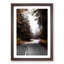 Road Through Redwood National Park in California - Picture Frame Painting Print-55618282-55618285