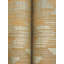 Birch Wallpaper-64266985