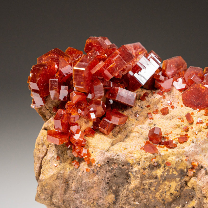 Véritable grappe de cristal de vanadinite sur une matrice marocaine (202,9 grammes)
