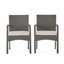 Chaise de salle à manger en osier CORDOBA KD PE [ensemble de 2 pièces]-1487015895