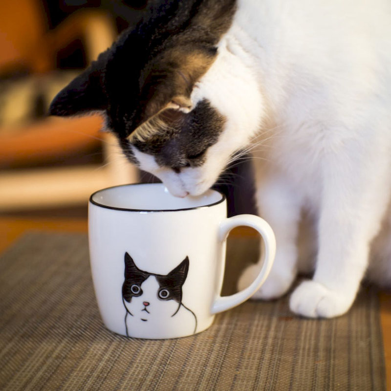 Tasse à café Peering Cat