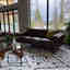 Photos des clients 1 de 2