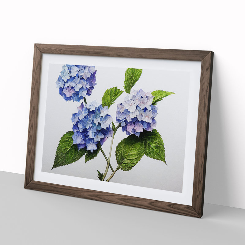 Hydrangea Flowers Vol.1 - Framed Print, 46cm H x 64cm W x 2cm D, Walnut