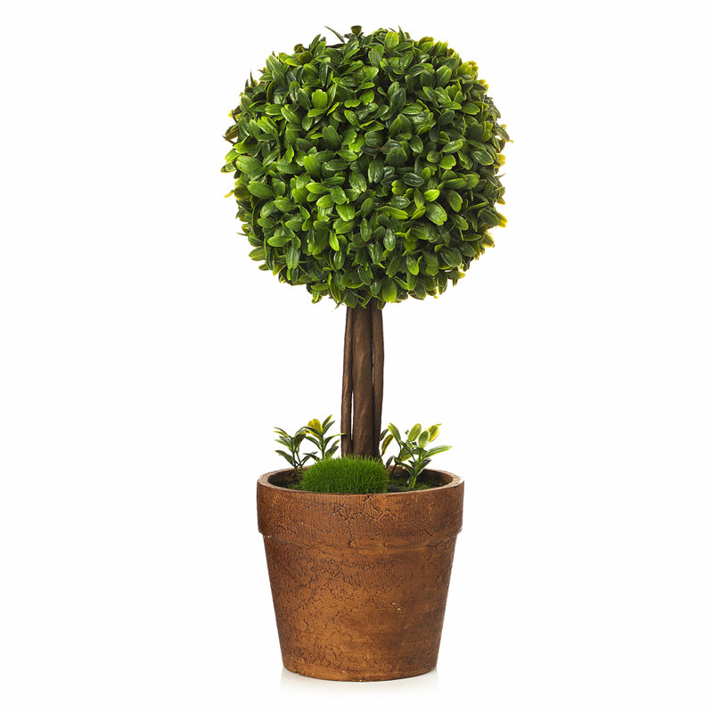 12 " H Faux Boxwood Topiary in Resin Pot