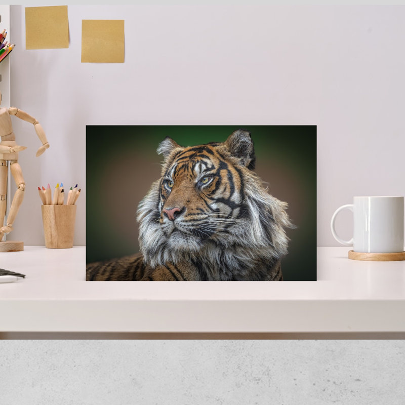 Wild Tiger Gaze Contemporary Cat Tiger Wall Art Print by Jeffrey C. Sink - 1 Piece Wrapped Canvas Wall Art